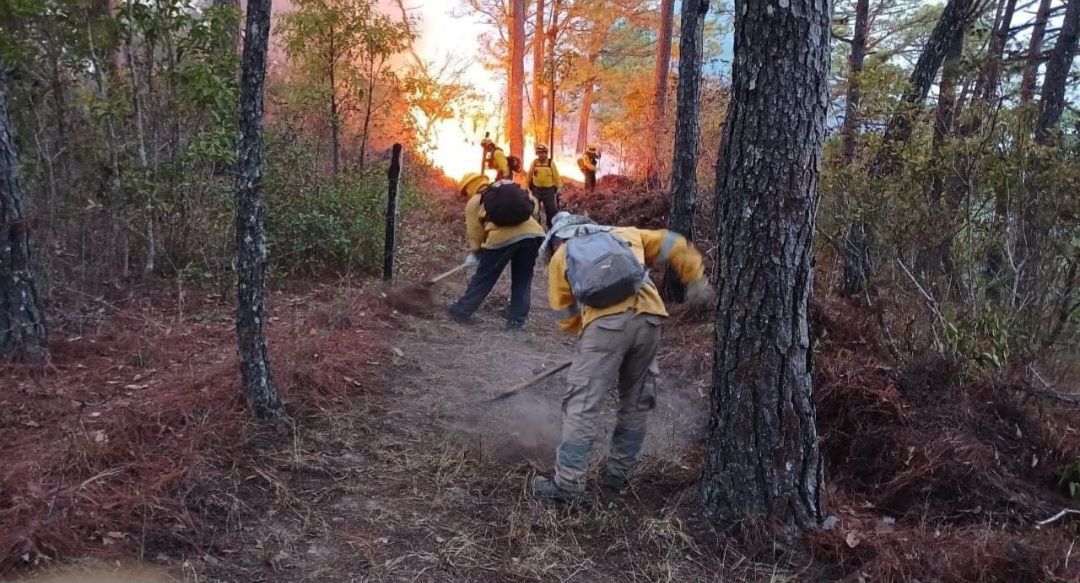 Chilpancingo: Controlado al 90% el incendio en el cerro del Alquitrán ...